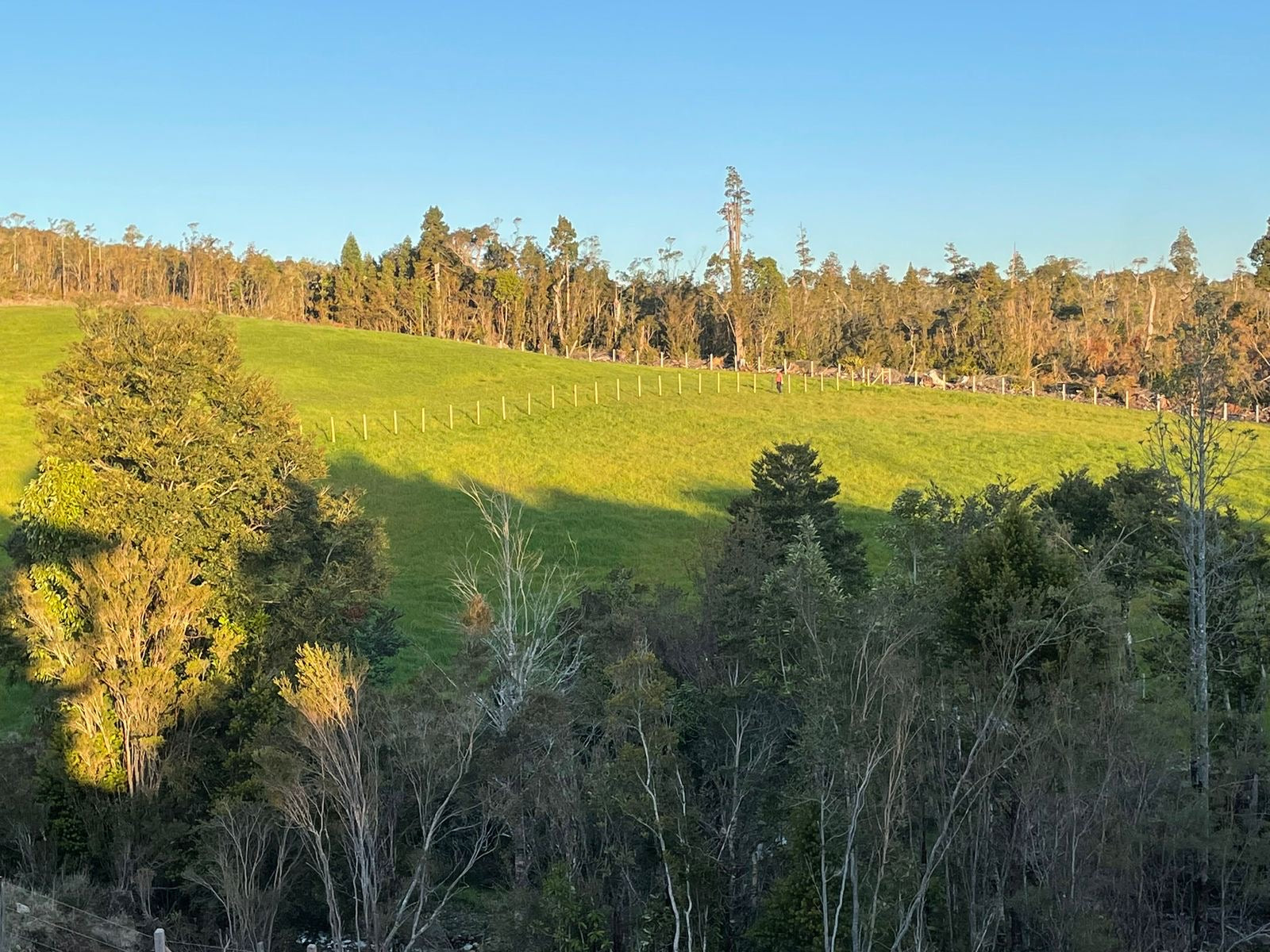 5.75-Hectare Property with Home and Greenhouse — Estaquilla, Southern Chile