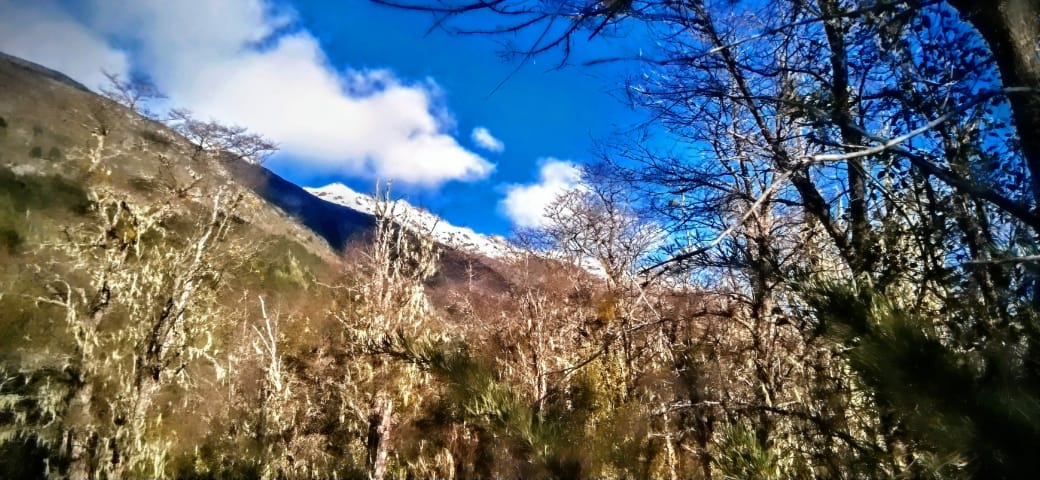1-Hectare Rustic Land in Valle Horqueta – Cochamó, Los Lagos Region