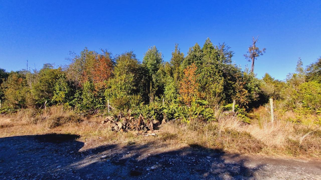 Exclusive Elevated Parcel 0,77 hectares in Coihuín–Pelluco Alto with Strategic Access