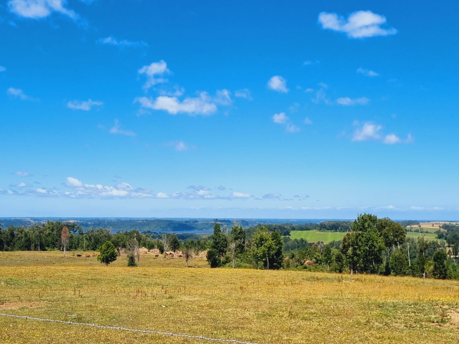 Residential & Recreational 0.5 hectares Investment Opportunity on the Maullín River