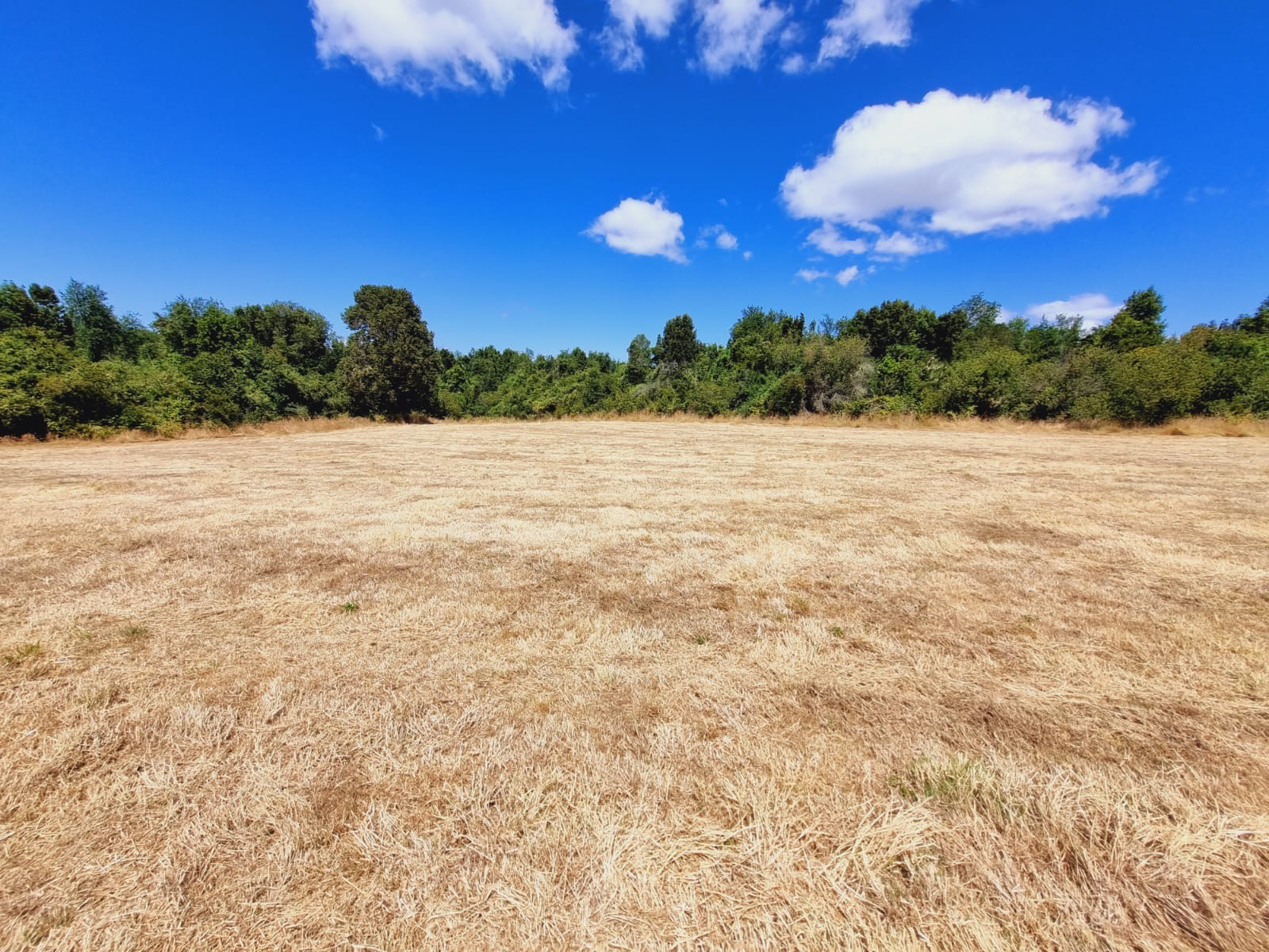 Residential & Recreational 0.5 hectares Investment Opportunity on the Maullín River