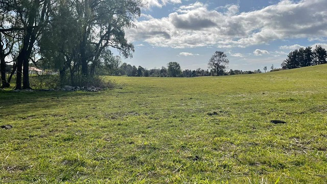 0.5-Hectare Plots in Paraguay Chico – Los Muermos, Los Lagos Region