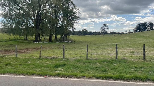 0.5-Hectare Plots in Paraguay Chico – Los Muermos, Los Lagos Region