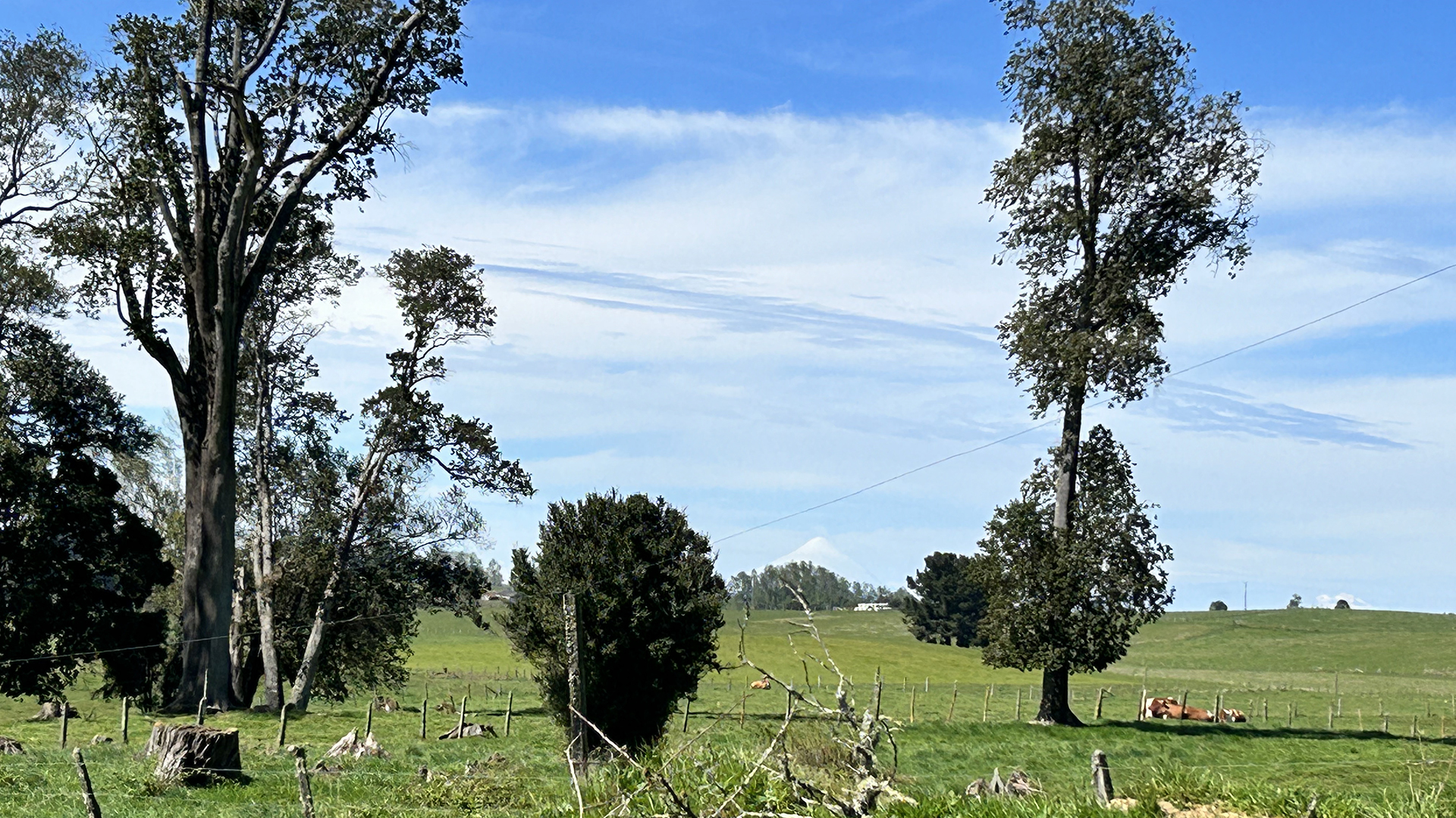 Prime 99.5-Hectare (245.7 Acres) Ranch – Torreón-Río Frío Sector, Los Muermos