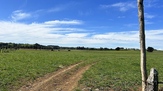 Prime 99.5-Hectare (245.7 Acres) Ranch – Torreón-Río Frío Sector, Los Muermos