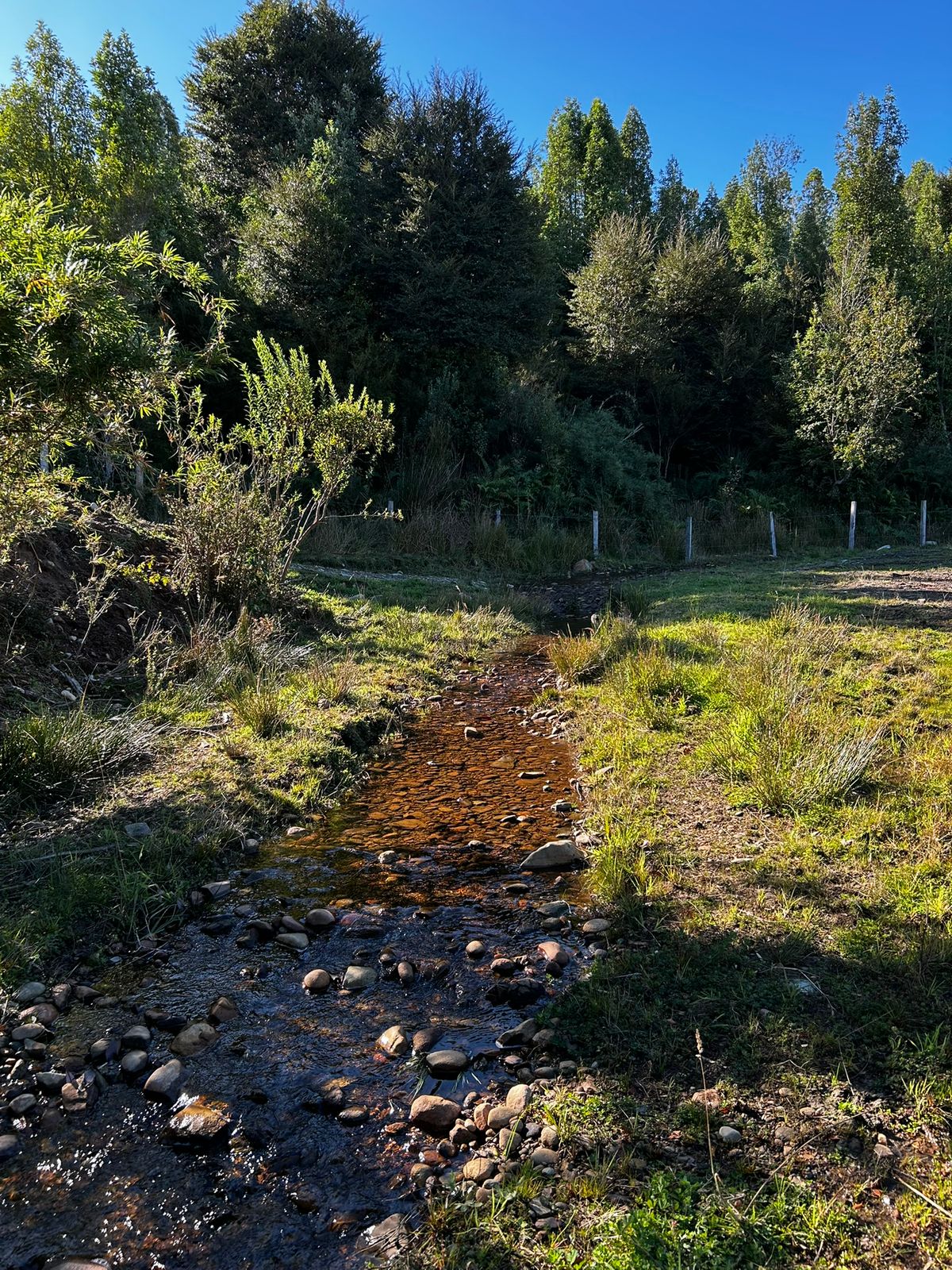 5.75-Hectare Property with Home and Greenhouse — Estaquilla, Southern Chile