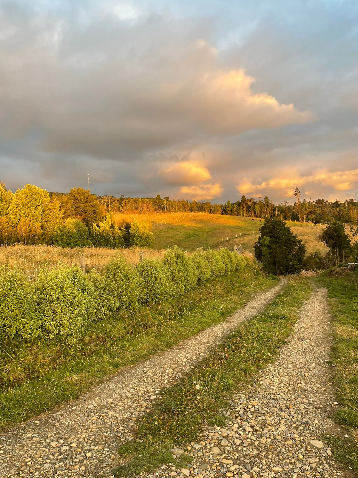 5.75-Hectare Property with Home and Greenhouse — Estaquilla, Southern Chile