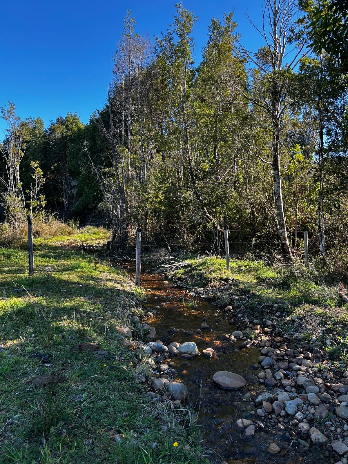 5.75-Hectare Property with Home and Greenhouse — Estaquilla, Southern Chile