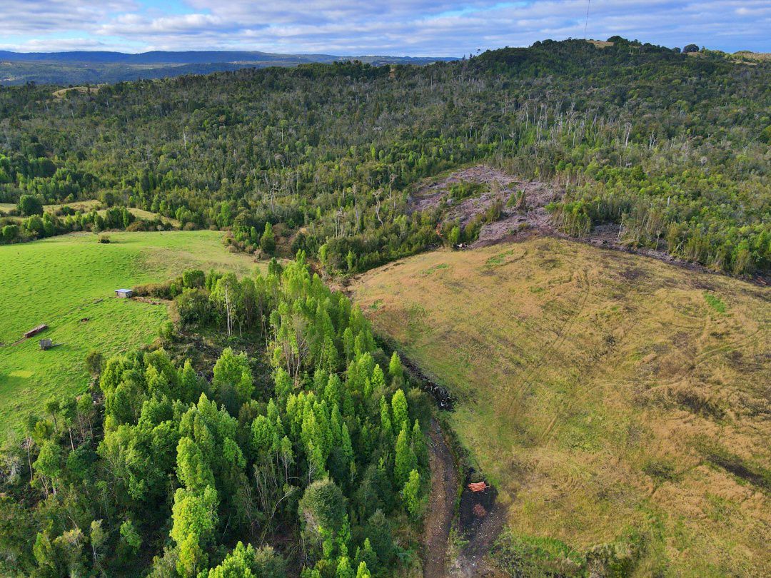 5.75-Hectare Property with Home and Greenhouse — Estaquilla, Southern Chile