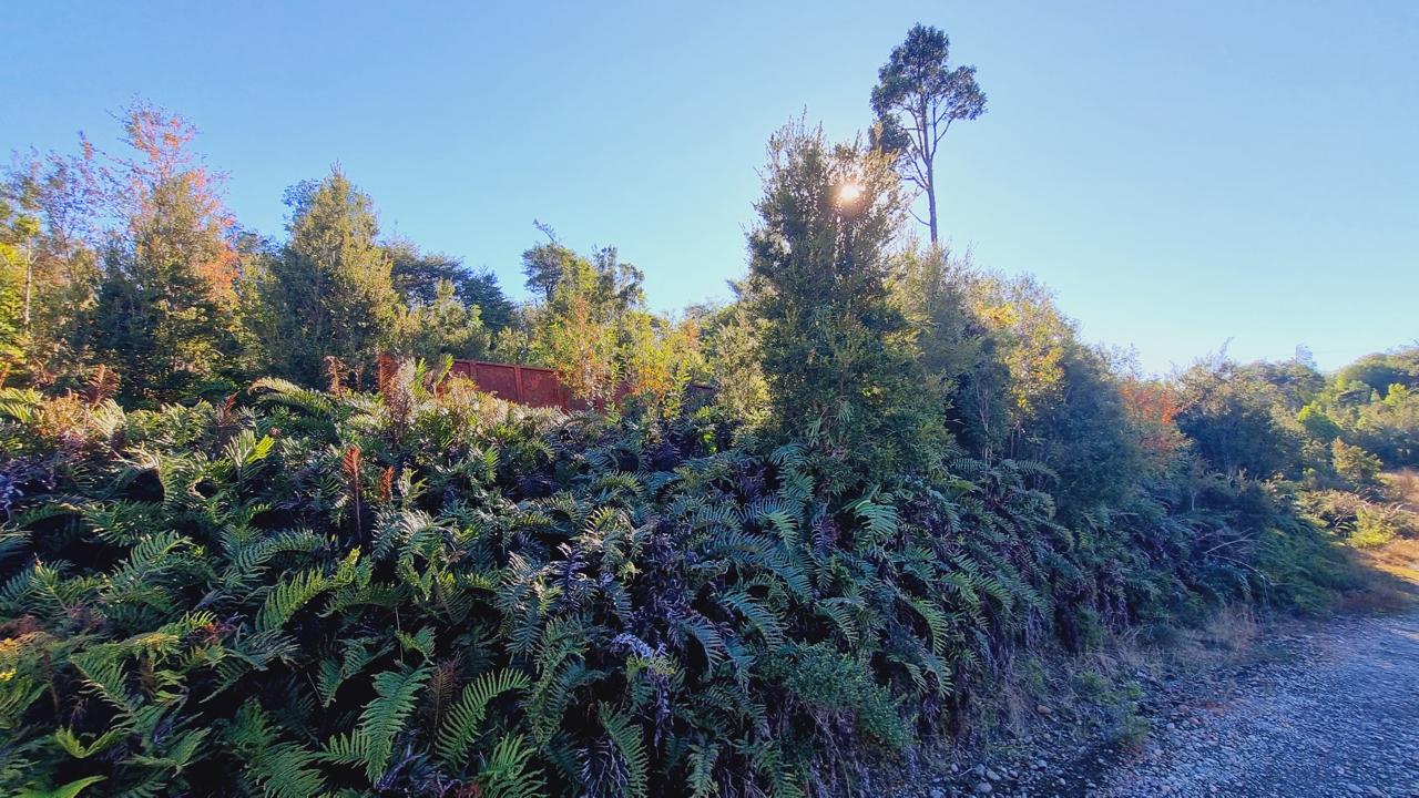 Exclusive Elevated Parcel 0,77 hectares in Coihuín–Pelluco Alto with Strategic Access