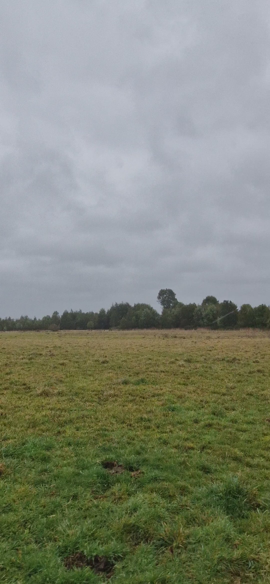 9.4-Hectare Fertile Farmland in Salto Chico- Las Quemas – Ideal for Agriculture, Livestock, or Subdivision