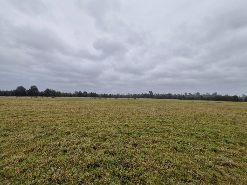 9.4-Hectare Fertile Farmland in Salto Chico- Las Quemas – Ideal for Agriculture, Livestock, or Subdivision