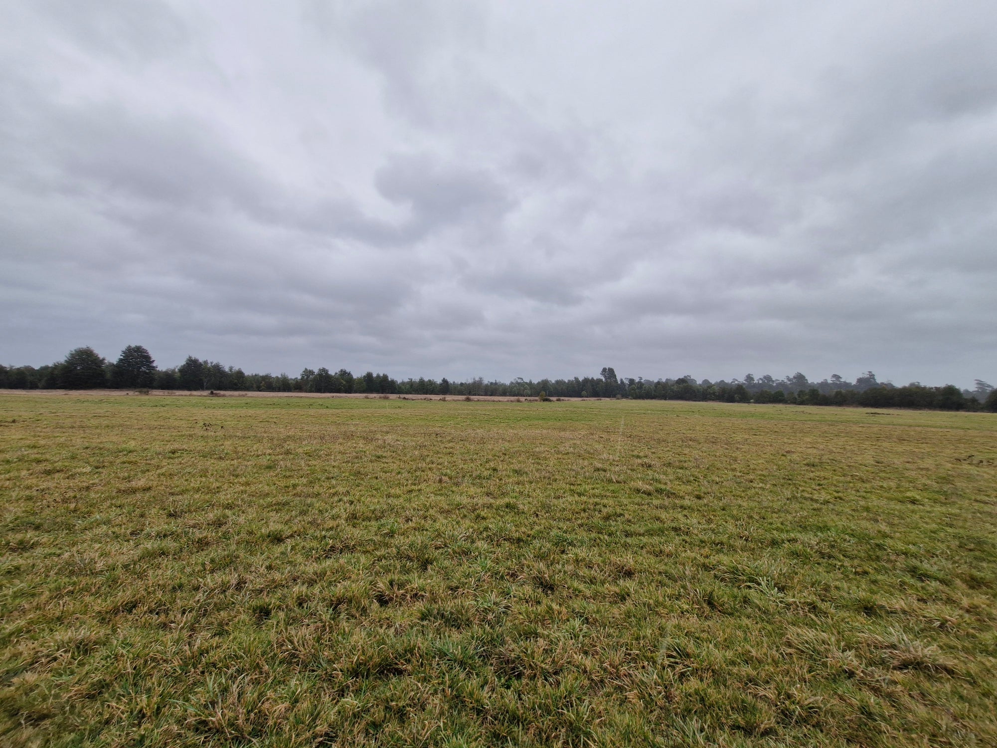 9.4-Hectare Fertile Farmland in Salto Chico- Las Quemas – Ideal for Agriculture, Livestock, or Subdivision