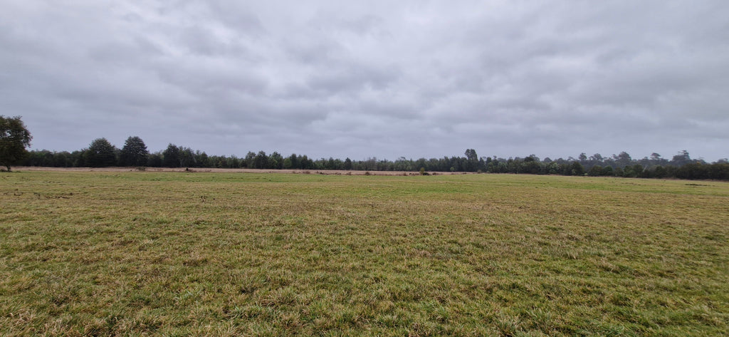 9.4-Hectare Fertile Farmland in Salto Chico- Las Quemas – Ideal for Agriculture, Livestock, or Subdivision