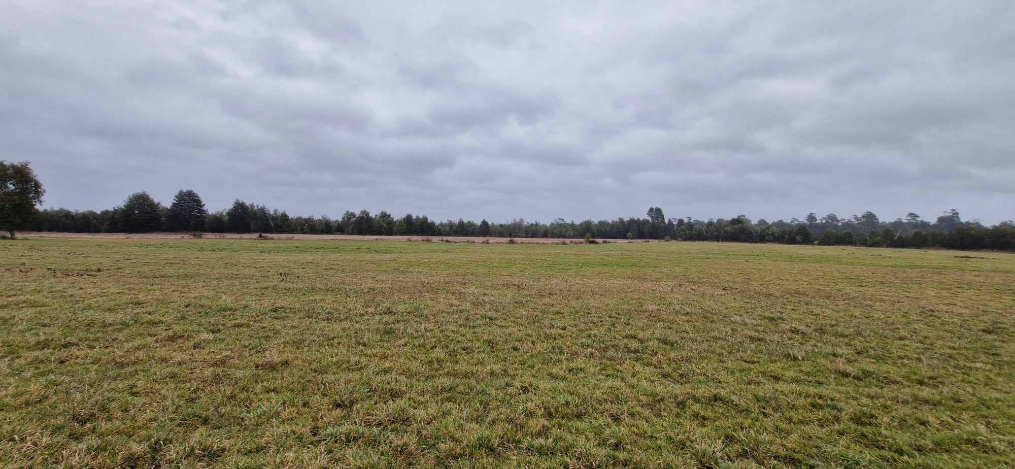 9.4-Hectare Fertile Farmland in Salto Chico- Las Quemas – Ideal for Agriculture, Livestock, or Subdivision