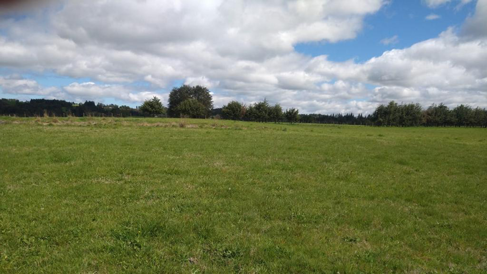 0.5-Hectare Parcels in Cuesta La Vaca – Los Muermos, Los Lagos Region, Chile