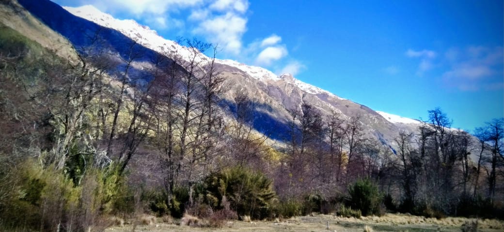 1-Hectare Rustic Land in Valle Horqueta – Cochamó, Los Lagos Region