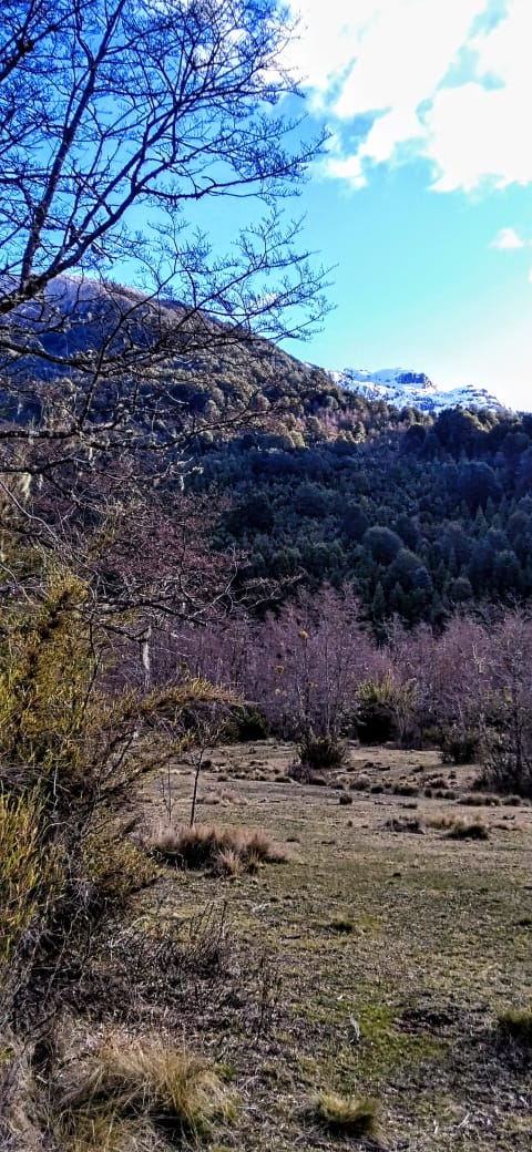 Cochamo valley plots Chilean Patagonia fields