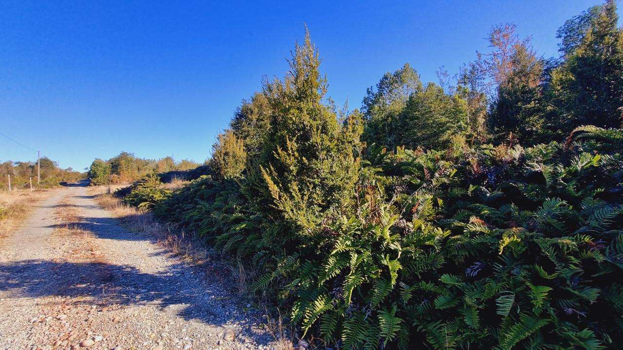 Exclusive Elevated Parcel 0,77 hectares in Coihuín–Pelluco Alto with Strategic Access