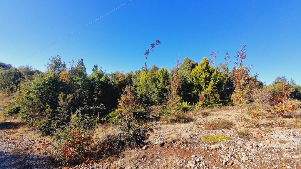 Exclusive Elevated Parcel 0,77 hectares in Coihuín–Pelluco Alto with Strategic Access