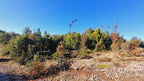Exclusive Elevated Parcel 0,77 hectares in Coihuín–Pelluco Alto with Strategic Access