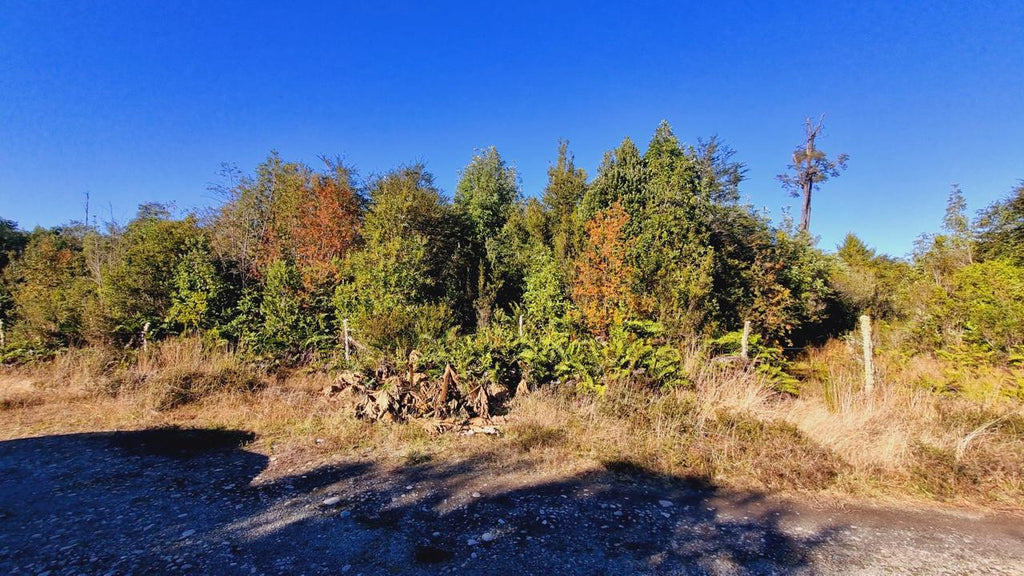 Exclusive Elevated Parcel 0,77 hectares in Coihuín–Pelluco Alto with Strategic Access