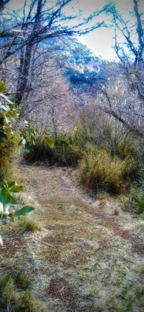 1-Hectare Rustic Land in Valle Horqueta – Cochamó, Los Lagos Region