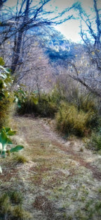 1-Hectare Rustic Land in Valle Horqueta – Cochamó, Los Lagos Region