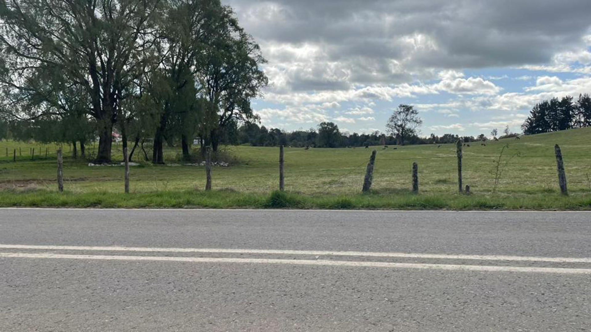 0.5-Hectare Plots in Paraguay Chico – Los Muermos, Los Lagos Region