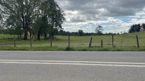 0.5-Hectare Plots in Paraguay Chico – Los Muermos, Los Lagos Region