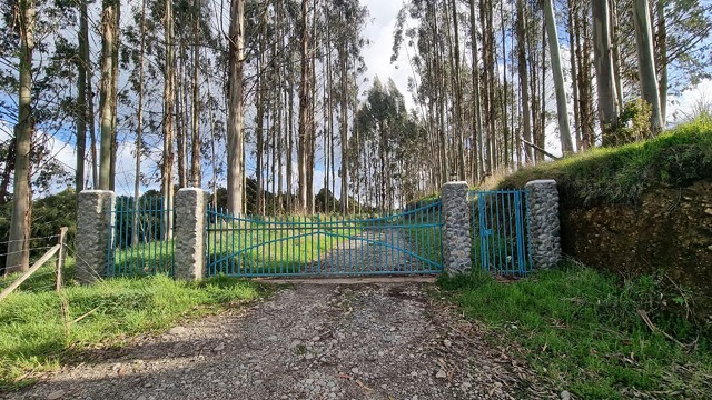 0.5-Hectare Parcels in Cuesta La Vaca – Los Muermos, Los Lagos Region, Chile