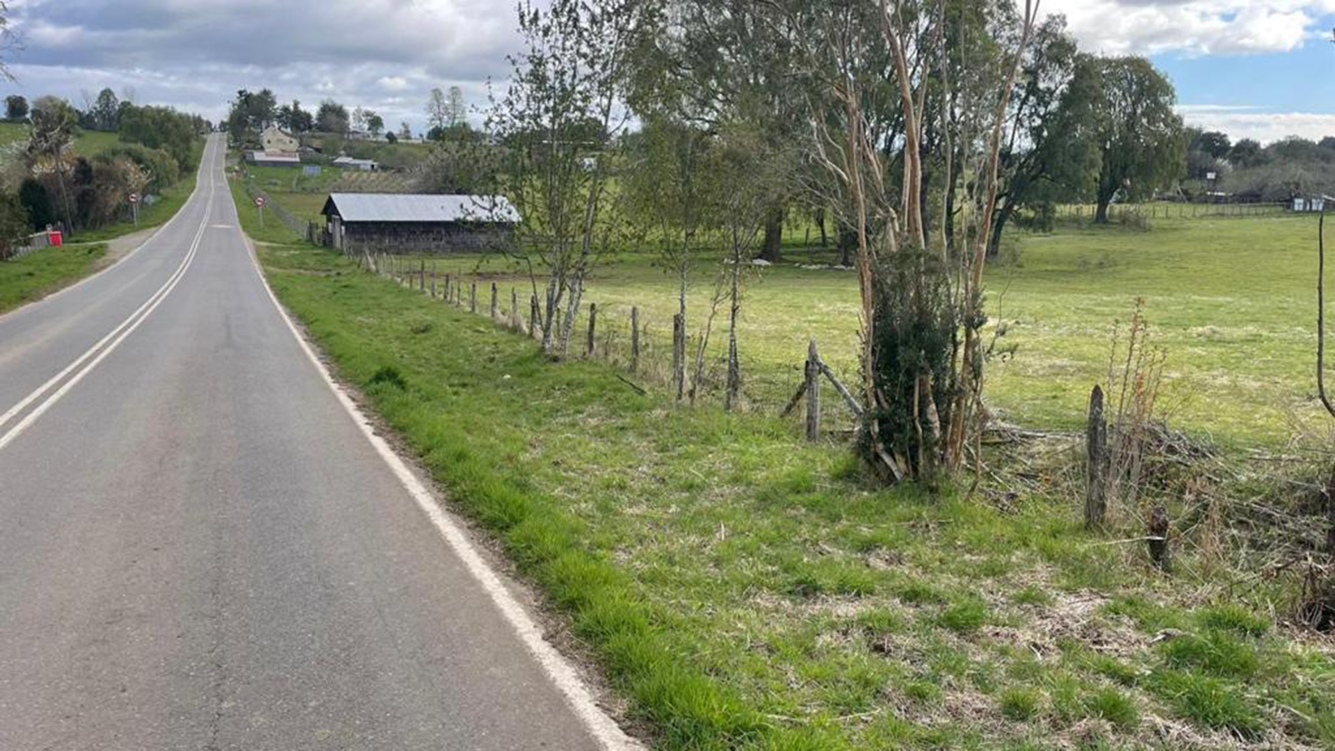 0.5-Hectare Plots in Paraguay Chico – Los Muermos, Los Lagos Region