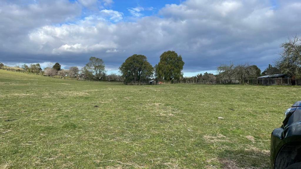 0.5-Hectare Plots in Paraguay Chico – Los Muermos, Los Lagos Region