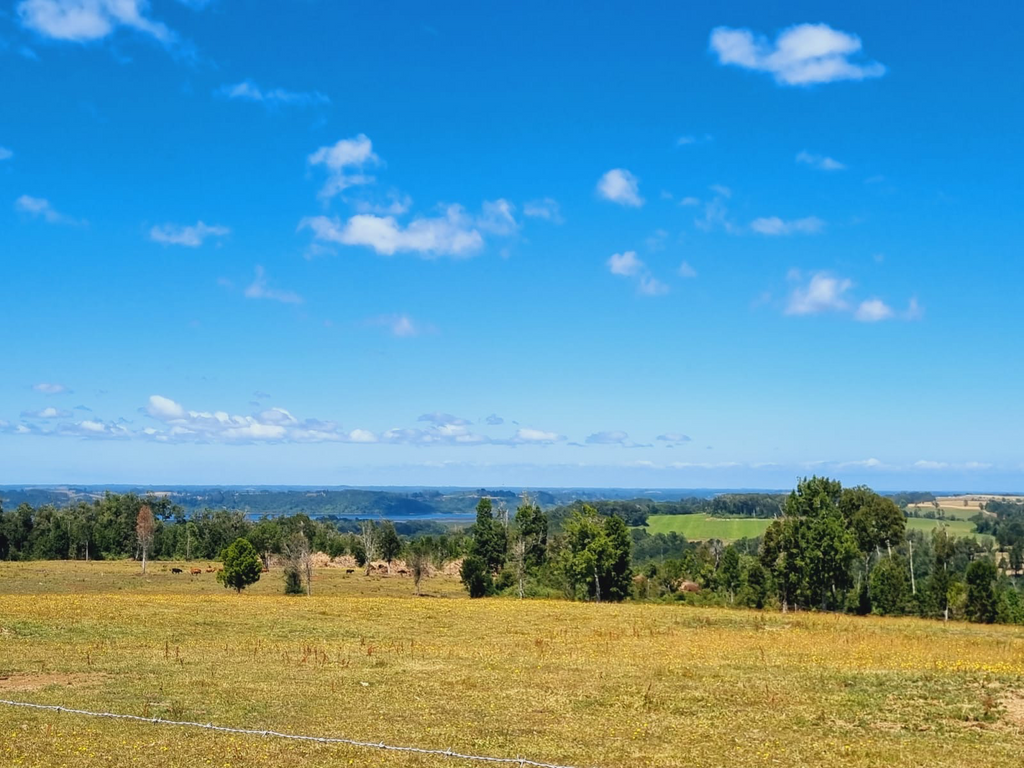 Residential & Recreational 0.5 hectares Investment Opportunity on the Maullín River