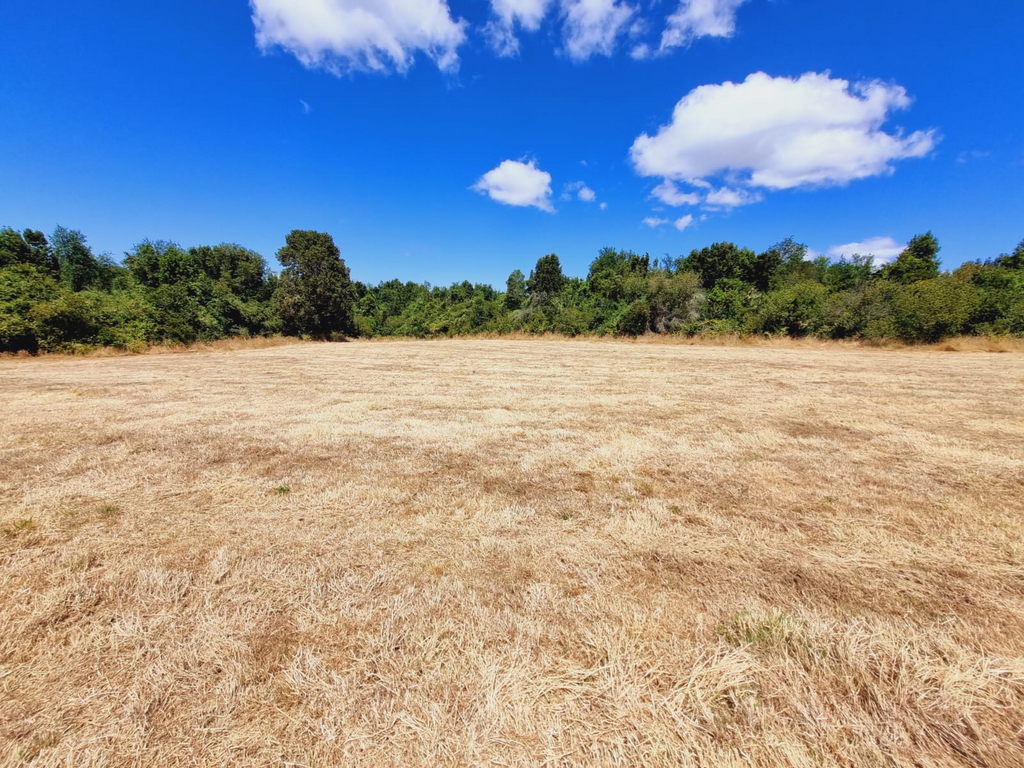 Residential & Recreational 0.5 hectares Investment Opportunity on the Maullín River