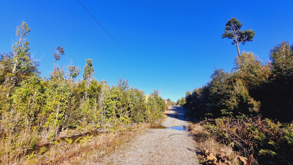 Exclusive Elevated Parcel 0,77 hectares in Coihuín–Pelluco Alto with Strategic Access