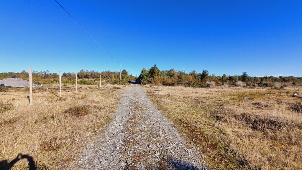 Exclusive Elevated Parcel 0,77 hectares in Coihuín–Pelluco Alto with Strategic Access