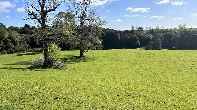 10.91-Hectare Property with Gentle Slopes in Cañitas – Los Muermos