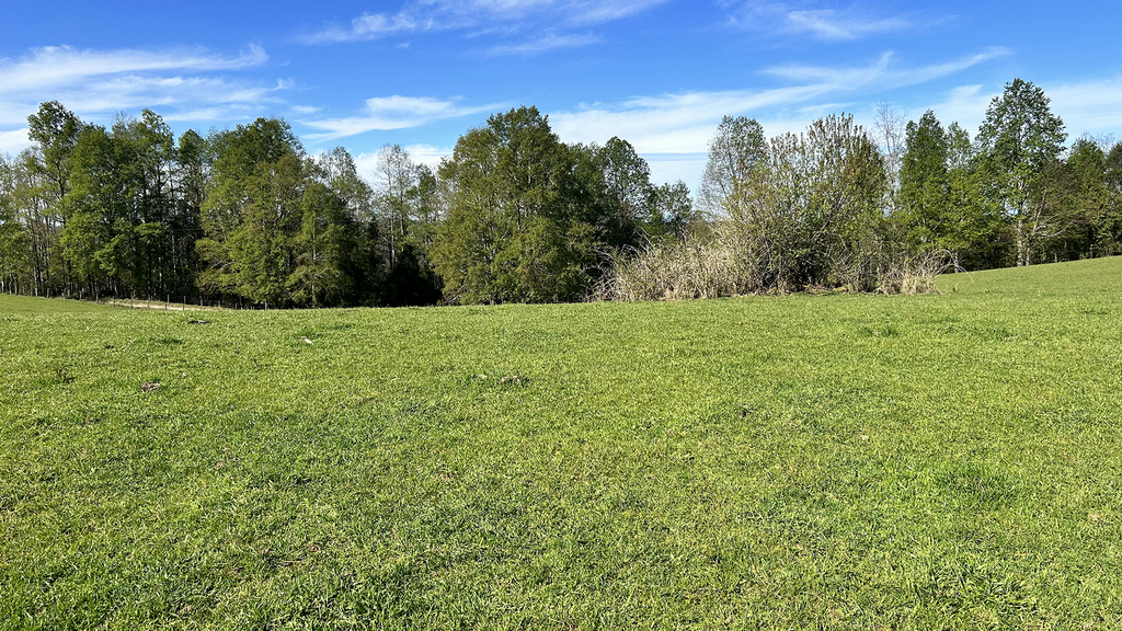 10.91-Hectare Property with Gentle Slopes in Cañitas – Los Muermos