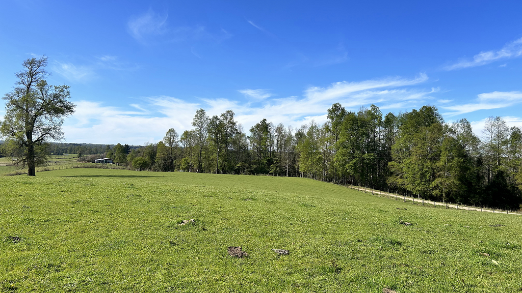 10.91-Hectare Property with Gentle Slopes in Cañitas – Los Muermos