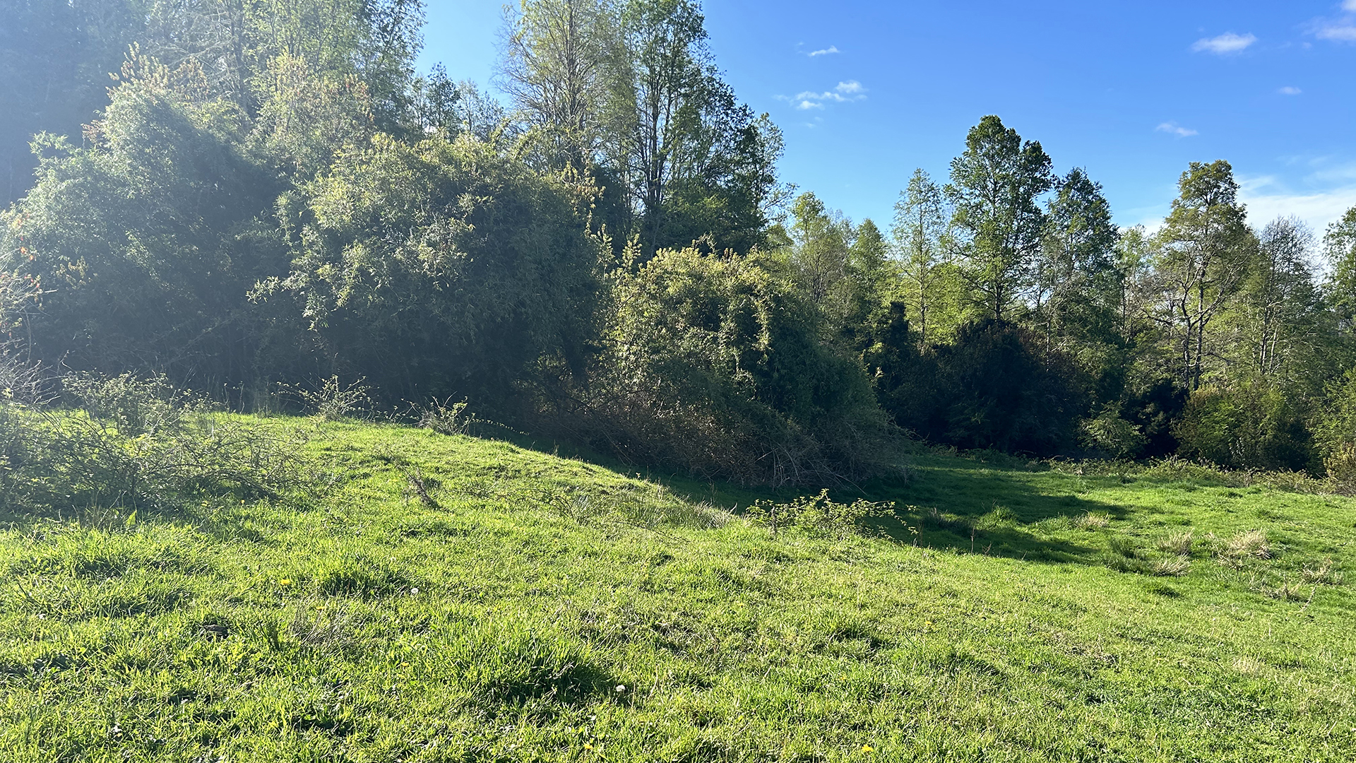 7.20-Hectare Riverfront Property in Cañitas – Los Muermos, Los Lagos Region, Chile