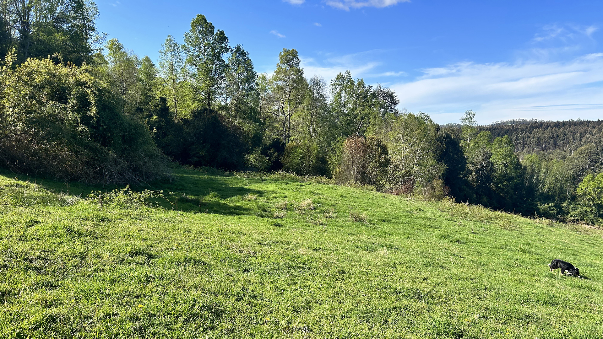 7.20-Hectare Riverfront Property in Cañitas – Los Muermos, Los Lagos Region, Chile