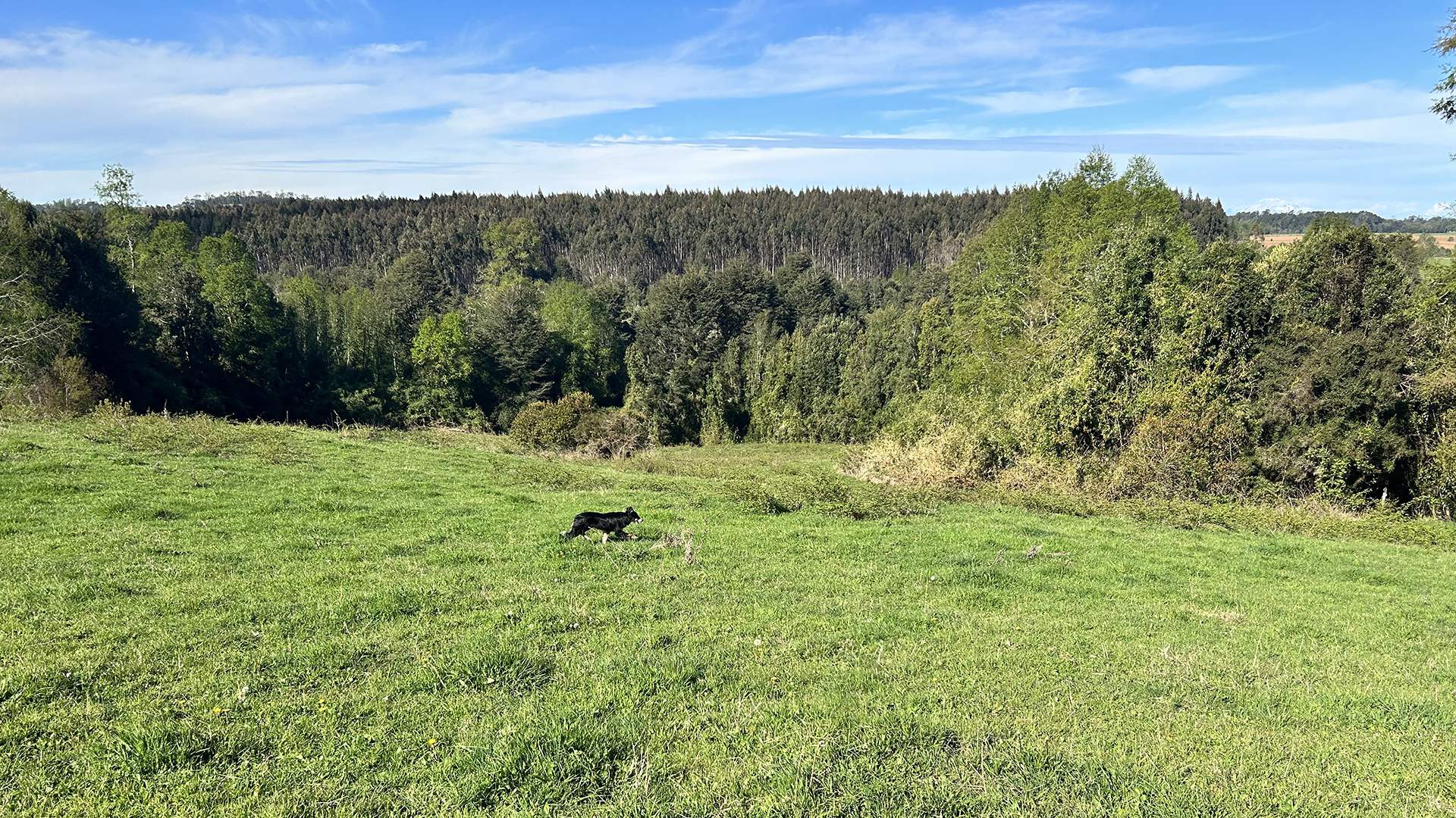 7.20-Hectare Riverfront Property in Cañitas – Los Muermos, Los Lagos Region, Chile