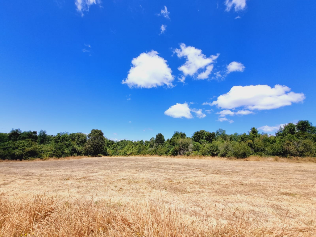 Residential & Recreational 0.5 hectares Investment Opportunity on the Maullín River