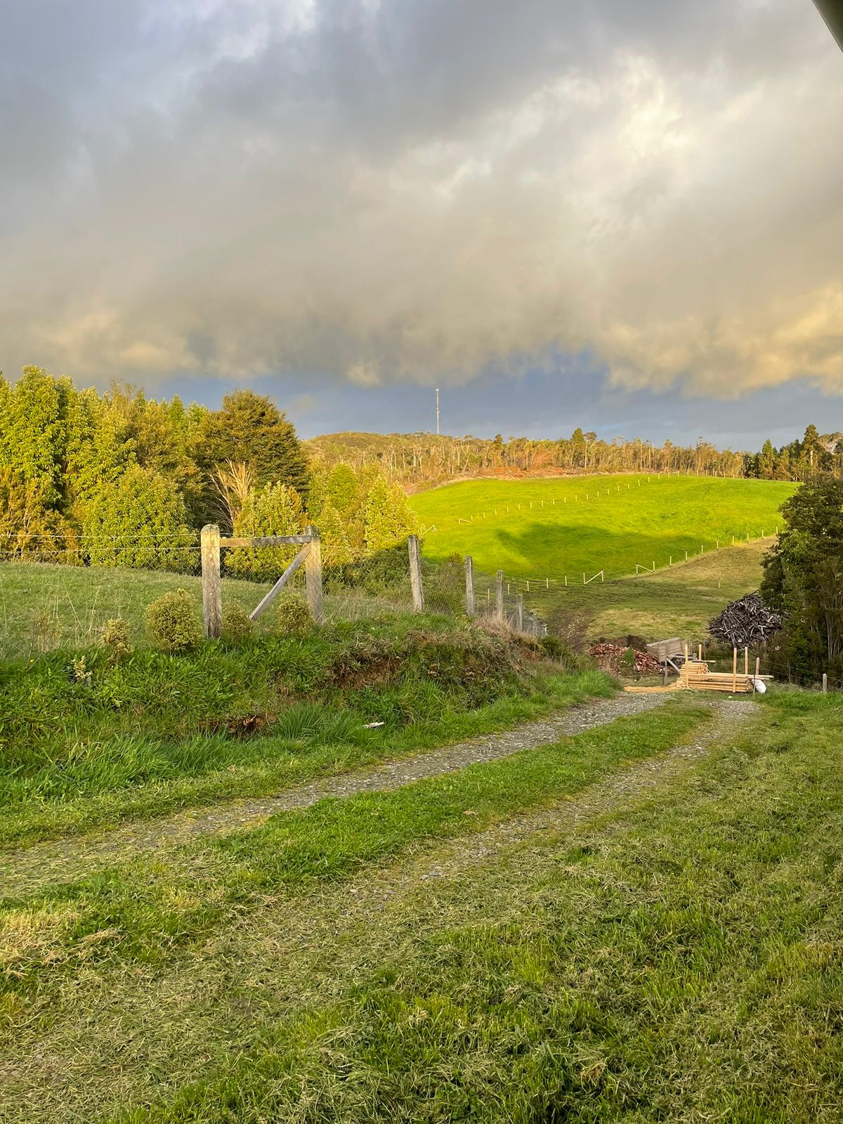 5.75-Hectare Property with Home and Greenhouse — Estaquilla, Southern Chile