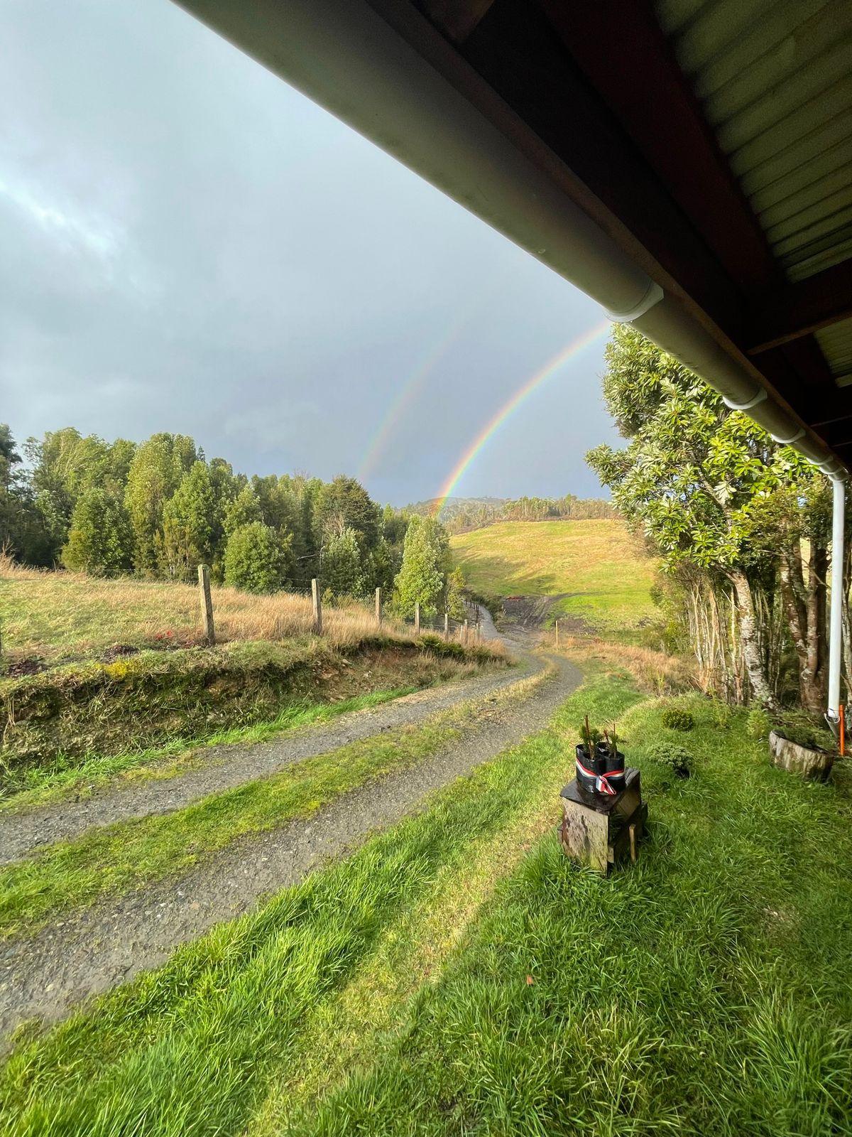 5.75-Hectare Property with Home and Greenhouse — Estaquilla, Southern Chile