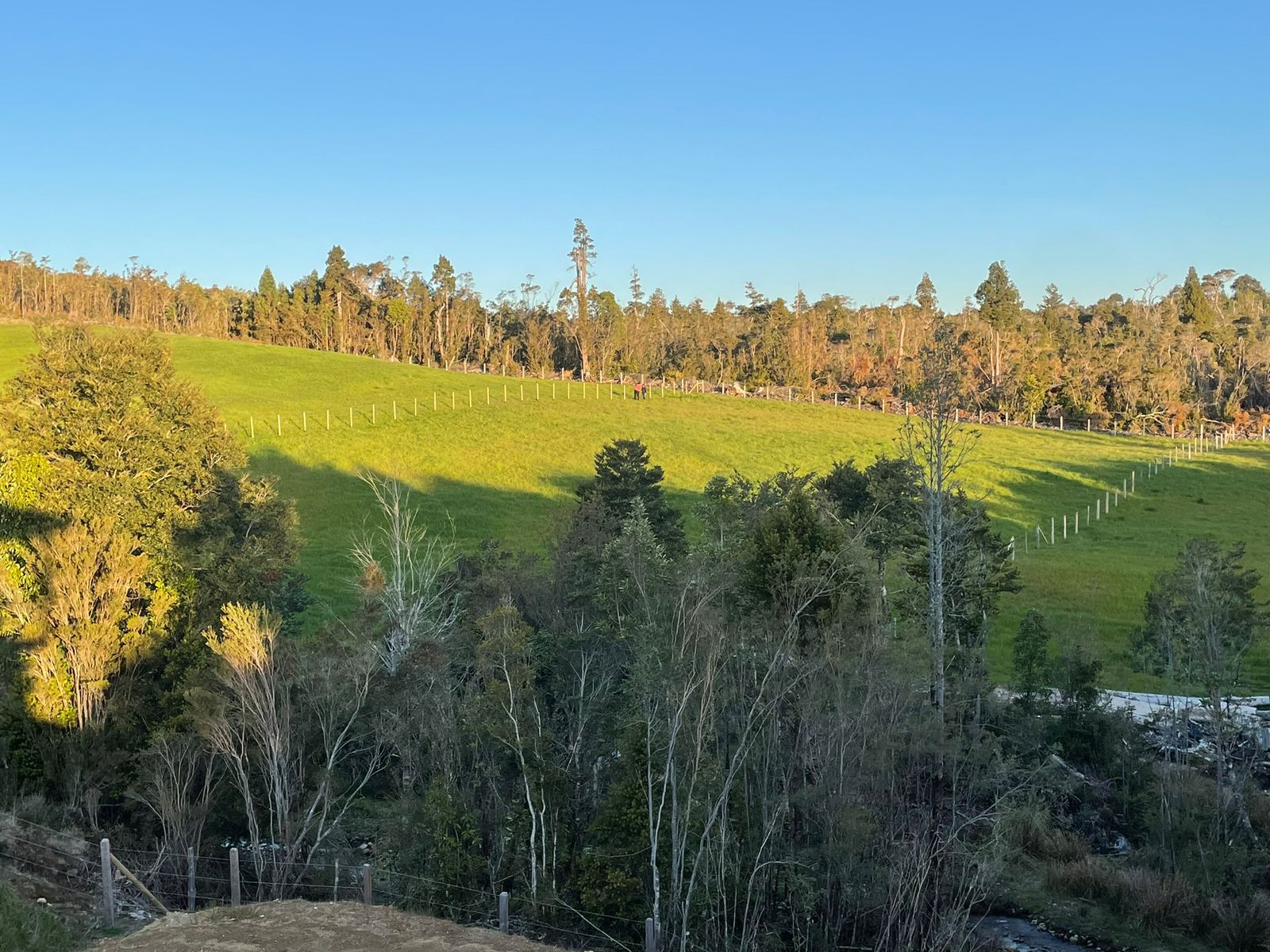 5.75-Hectare Property with Home and Greenhouse — Estaquilla, Southern Chile
