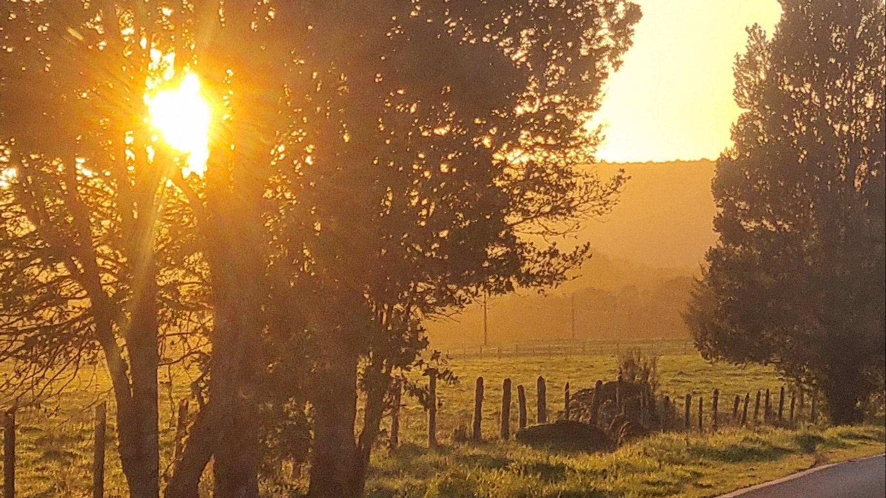 Exceptional 20-Hectare Property with Subdivided Parcels and Main Residence — Frutillar, Chile