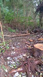 0.5-Hectare Parcel in Puerto Varas – Los Lagos Region, Chile