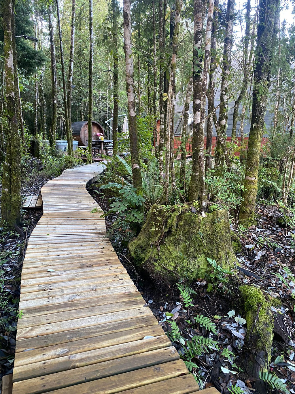 0.5-Hectare Parcel in Puerto Varas – Los Lagos Region, Chile